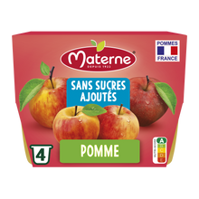 Dessert fruitier Coupelles Sans Sucres Ajoutés Pomme MATERNE, 4x100g