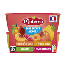 Dessert fruitier Coupelles Sans Sucres Ajoutés Multivariétés Fruits Jaunes MATERNE, 12x100g