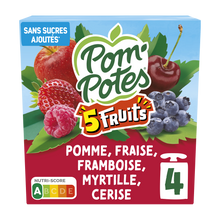 Dessert fruitier Gourdes 5 Fruits Rouges Pomme Cerise Fraise FramboiseMyrtille POM'POTES, 4x90g