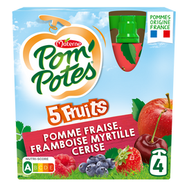 Compotes Gourdes 5 Fruits Rouges Pomme Cerise Fraise Framboise Myrtille POM'POTES, 4x90g