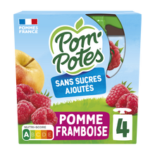 Dessert fruitier Gourdes Sans Sucres Ajoutés Pomme Framboise POM'POTES, 4x90g