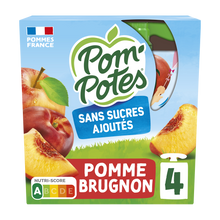 Dessert fruitier Gourdes Sans Sucres Ajoutés Pomme Brugnon POM'POTES,4x90g