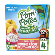 Dessert fruitier Gourdes Les P'tits Explorateurs Les Samourais Pomme Pêche Fruit du Dragon POM'POTES, 4x90g