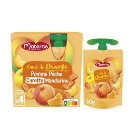 Compote pomme/pêche/carotte/mandarine MATERNE 4x90g