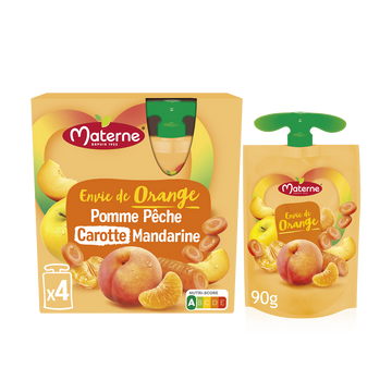 Compote pomme/pêche/carotte/mandarine MATERNE 4x90g