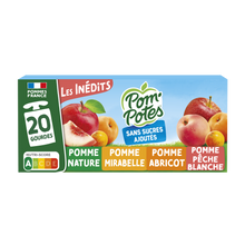 Dessert fruitier Gourdes Sans Sucres Ajoutés Pomme, Pomme Mirabelle, Pomme Abricot, Pomme Pêche Les Inédits POM'POTES, 20x90g