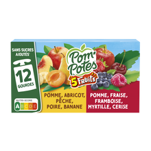 Dessert fruitier Gourdes 5 Fruits Rouges & Jaunes POM'POTES, 12x90g