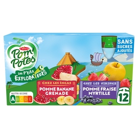 Compotes Gourdes Les P'tits Explorateurs Les Incas & Les Vikings POM'POTES, 12x90g