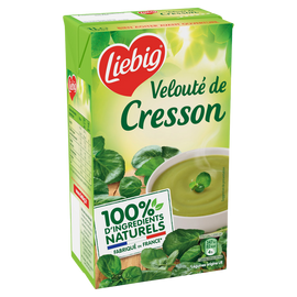 Soupe Pursoup velouté de cresson LIEBIG, 1l