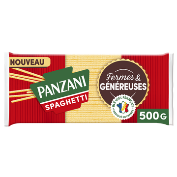 Spaghettis fermes et généreuses PANZANI 500g