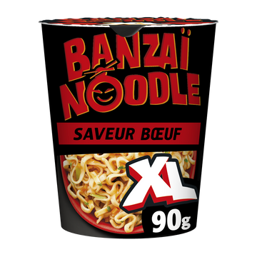 Nouilles instantanées Boeuf PANZANI CUP XL 90g