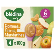 BLEDINA - Dessert bébé Pommes poires mandarines, dès 8 mois - 4x100g