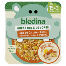 BLEDINA BLEDICHEF - Plat bébé morceaux carottes pâtes aux épices douces poulet, dès 15 mois - 200g - Repas bébé