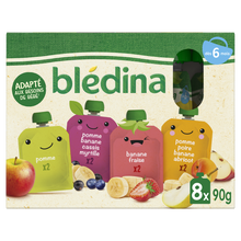 BLEDINA - Gourdes de fruits multi-parfum bio, de 6 à 12 mois - 8x90g