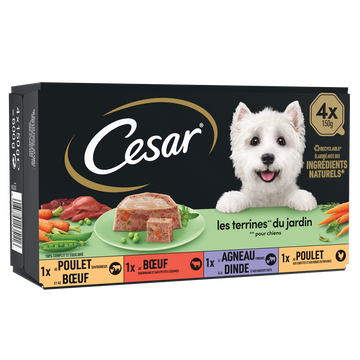 Barquettes chien Les terrines du jardin CESAR - 4x150g