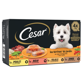 Barquettes chien Les terrines du jardin en gelée CESAR - 4x150g