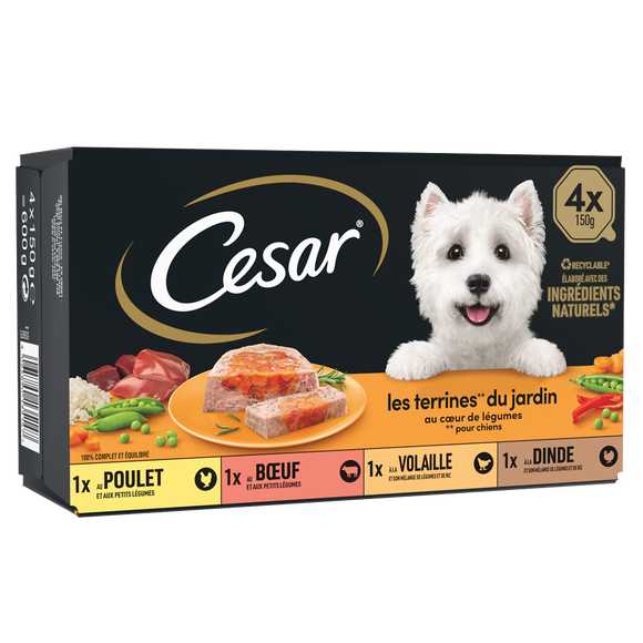 Barquettes chien Les terrines du jardin en gelée CESAR - 4x150g