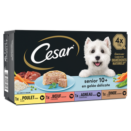 Barquettes chien sénior en gelée CESAR - 4x150g