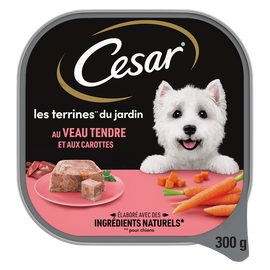 Barquette chien Les terrines classiques veau et carottes CESAR - 300g
