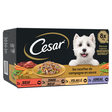 Barquettes chien Les recettes de campagne en sauce CESAR - 8x150g