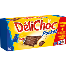 Gâteau chocolat au lait DELICHOC, pocket 250g