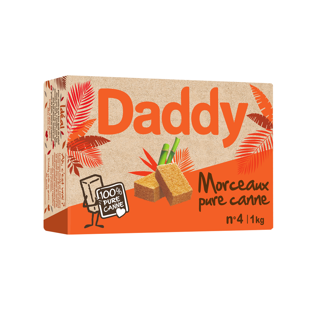 Sucre de canne pure en morceaux DADDY, 1kg