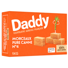 Sucre de canne pure en morceaux DADDY, 1kg
