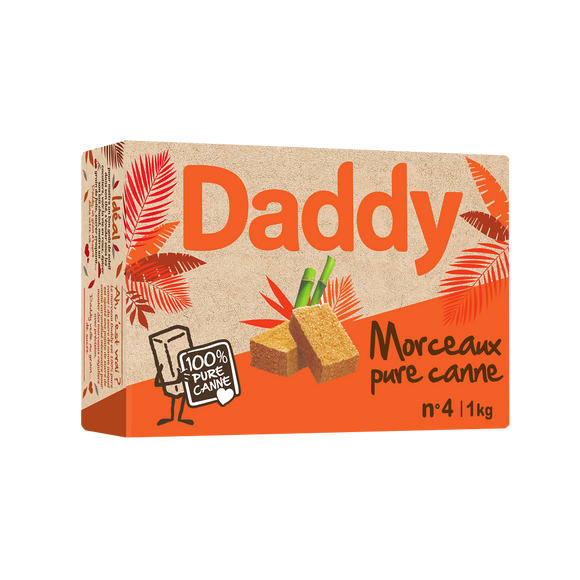 Sucre de canne pure en morceaux DADDY, 1kg