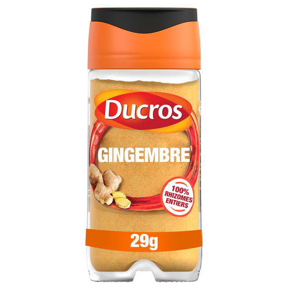 Gingembre DUCROS 29g