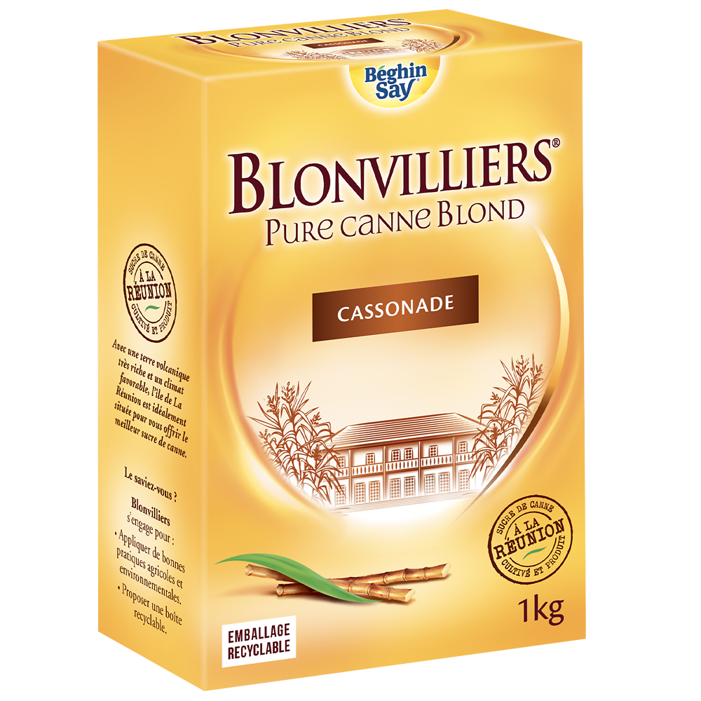 Sucre de canne en poudre Blonvilliers BEGHIN SAY, boîte à bec verseurde 1kg