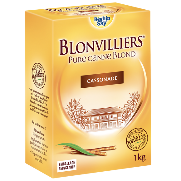 Sucre de canne en poudre Blonvilliers BEGHIN SAY, boîte à bec verseurde 1kg