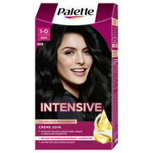 Coloration permanente 900 noir SCHWARZKOPF PALETTE - 165ml