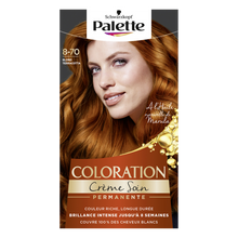 Coloration terracotta PALETTE blond 8-70