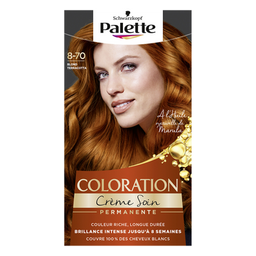 Coloration terracotta PALETTE blond 8-70