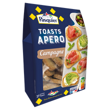 Toasts de pain grillé PASQUIER - Paquet de 100g