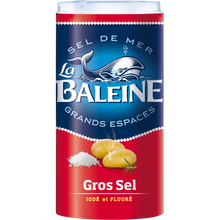 Gros sel de mer iodé et fluoré LA BALEINE, boîte verseuse de 500g