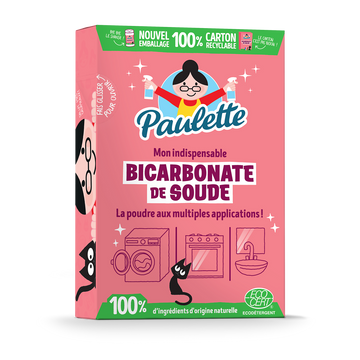 Bicarbonate de soude PAULETTE - Pot 500g