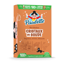 Cristaux de soude PAULETTE 500g
