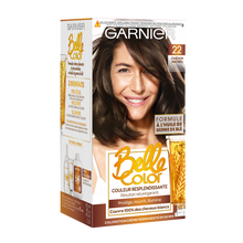 Coloration cheveux n°22 châtain naturel permanente belle color GARNIER