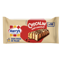 Gâteaux moelleux cacao et chocolat Chocalin sans huile de palme HARRYS- X10 350G