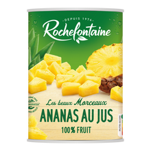 Ananas en morceaux au jus ROCHEFONTAINE, boîte 3/4, 340g