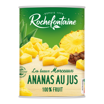 Ananas en morceaux au jus ROCHEFONTAINE, boîte 3/4, 340g