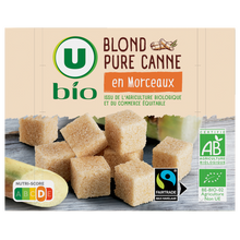 U BIO Sucre Blond pure canne en morceaux 500g