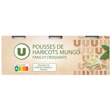 U Pousses de haricots Mungo - 3 boîtes de 90g net égoutté