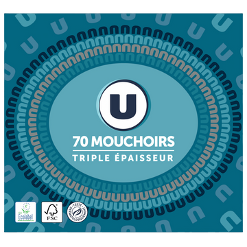 U Mouchoirs blanc 3 plis boite cubique décorée  x70