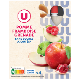 U Gourdes dessert fruitier pomme framboise grenade sans sucre ajouté 4x120g