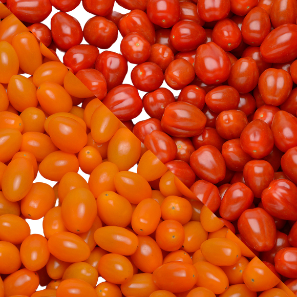 U Tomate cerise en grappe - Catégorie Extra - Barquette 320g