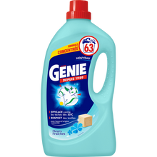 Lessive liquide GENIE Fleurs Fraiches 2,52L