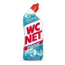 WC NET Gel intense aux huiles essentielles fraîcheur océane 700ml