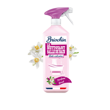 Nettoyant pour salle de bain BRIOCHIN, pistolet de 750ml